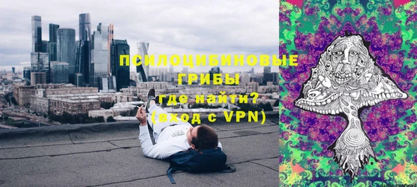 гидра Зеленокумск