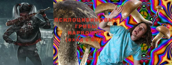 молекула духа Зерноград