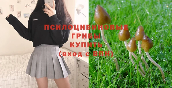 молекула духа Зерноград