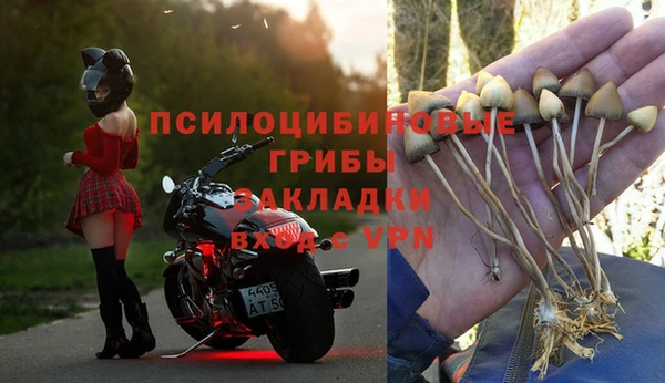 молекула духа Зерноград