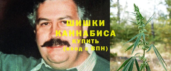 молекула духа Зерноград