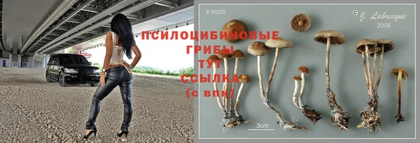 гидра Зеленокумск